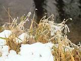 2006-02-04_11-44-48_Janvier_200,0mm_F5,6_1_400_eme_DiMAGE A2